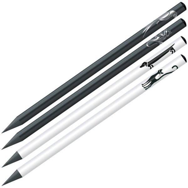 80d44d6c1d20245771021fdceac41701