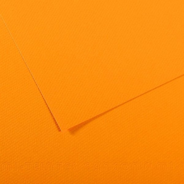 canson_mi_teintes_160_2_50_65_553_