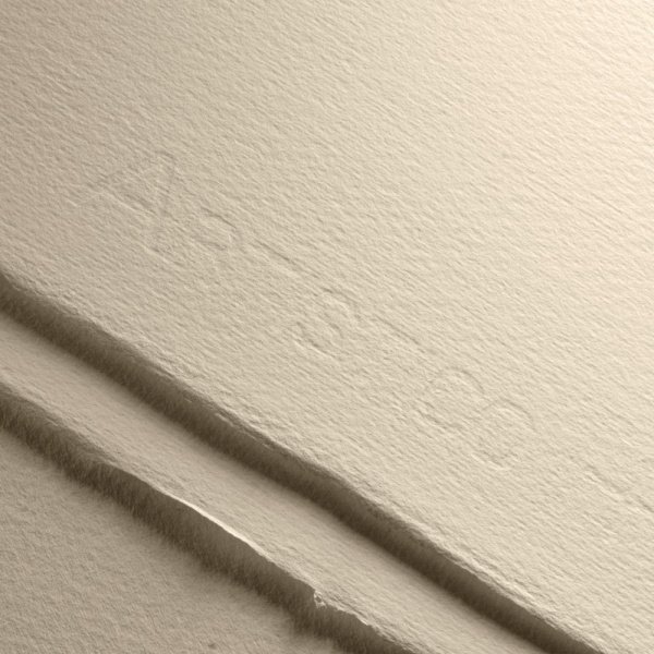 традишнл фин