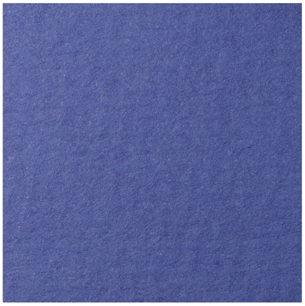 лана корол голуб